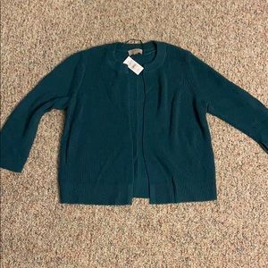 NWT- Loft Sweater